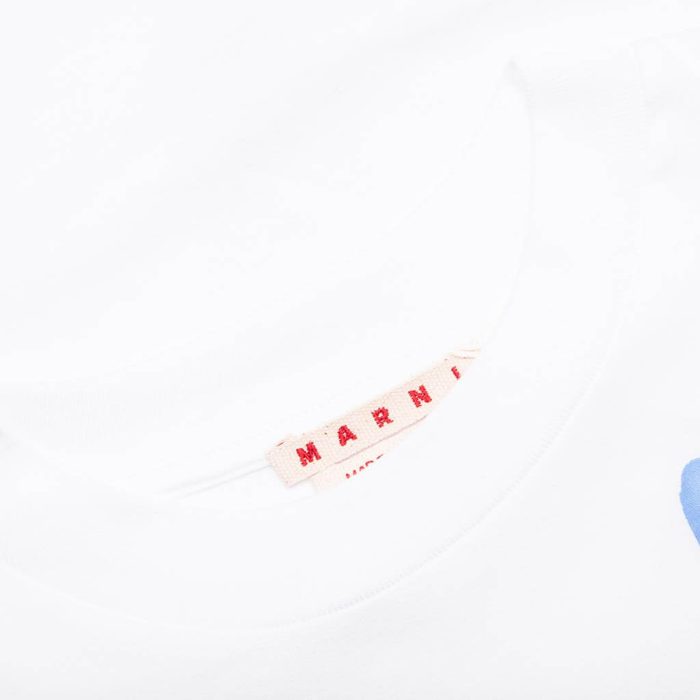 8c25ddd35f565812572e627ff8a367e8.jpg